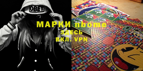 шишки Баксан