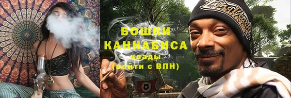шишки Баксан