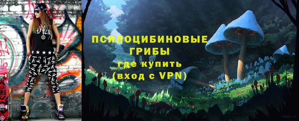 хмурый Балабаново