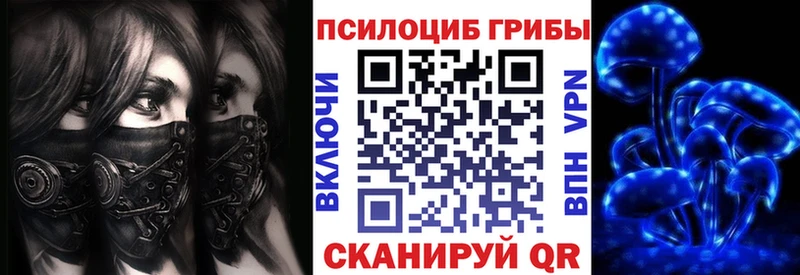 Псилоцибиновые грибы Cubensis  Купить где  Козловка 